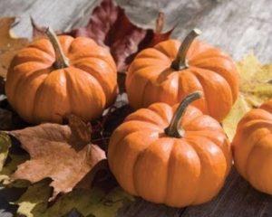 zucche per vellutata